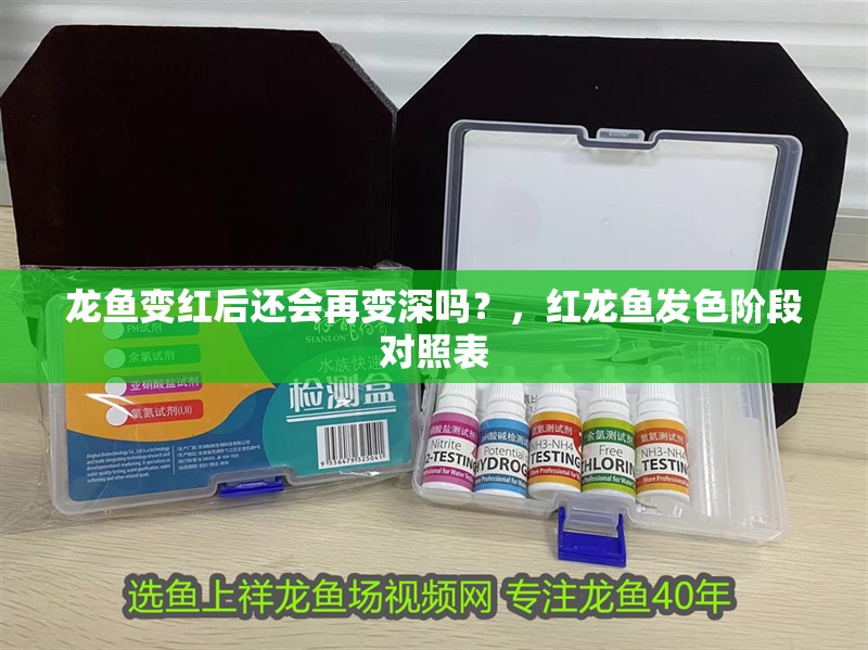 龍魚變紅后還會再變深嗎？，紅龍魚發(fā)色階段對照表