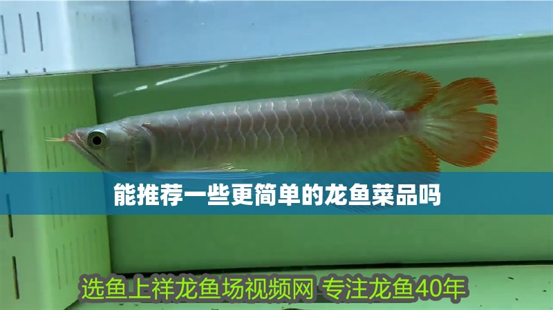 能推薦一些更簡(jiǎn)單的龍魚菜品嗎