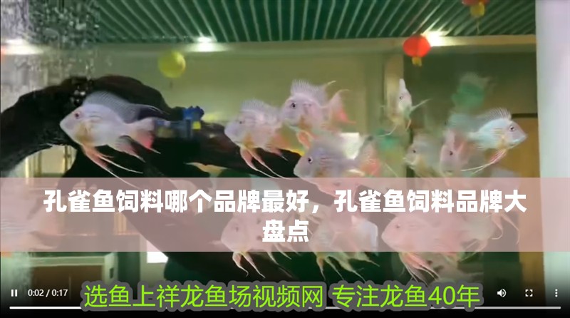 孔雀魚飼料哪個品牌最好，孔雀魚飼料品牌大盤點