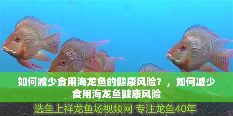 如何減少食用海龍魚的健康風(fēng)險(xiǎn)？，如何減少食用海龍魚健康風(fēng)險(xiǎn)