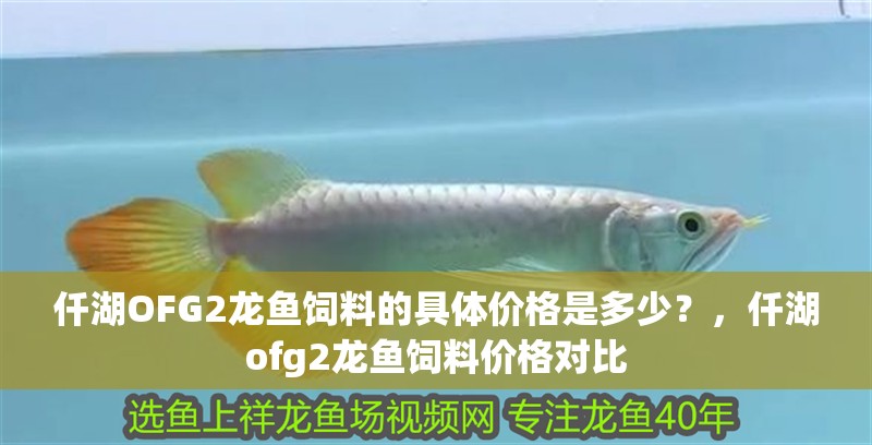 仟湖OFG2龍魚飼料的具體價(jià)格是多少？，仟湖ofg2龍魚飼料價(jià)格對比