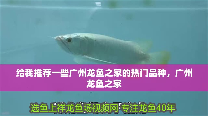給我推薦一些廣州龍魚之家的熱門品種，廣州龍魚之家