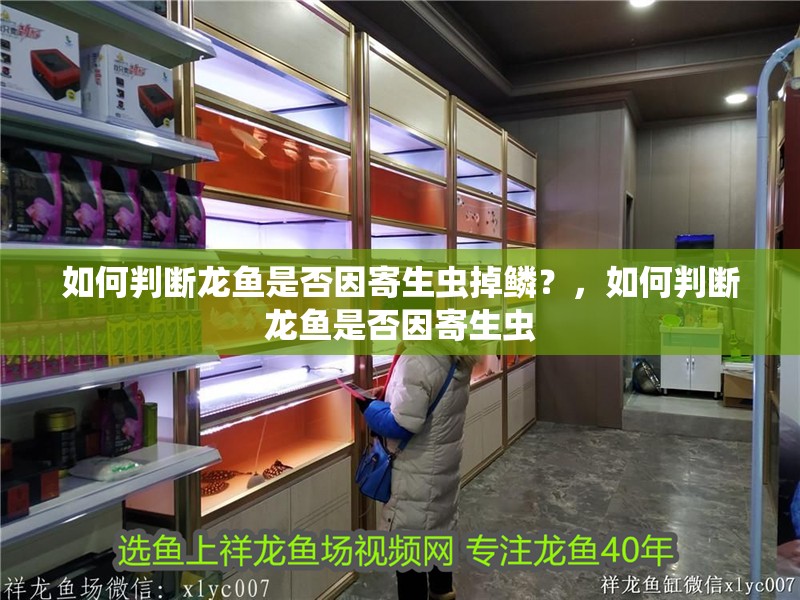 如何判斷龍魚是否因寄生蟲掉鱗？，如何判斷龍魚是否因寄生蟲
