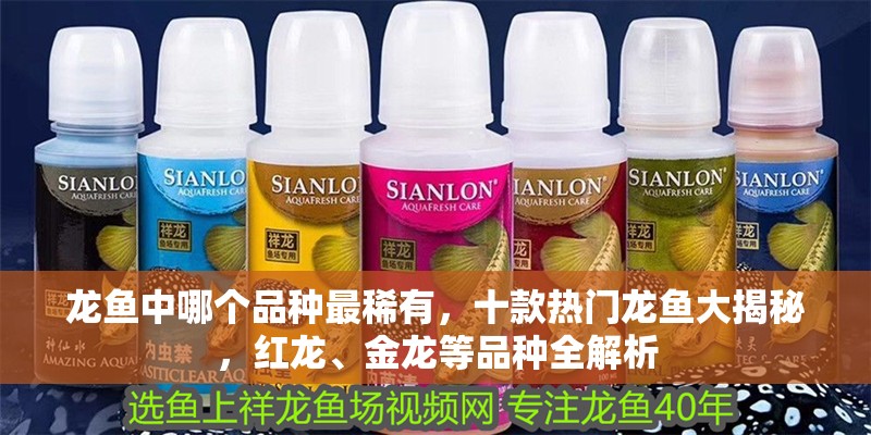 龍魚中哪個品種最稀有，十款熱門龍魚大揭秘，紅龍、金龍等品種全解析