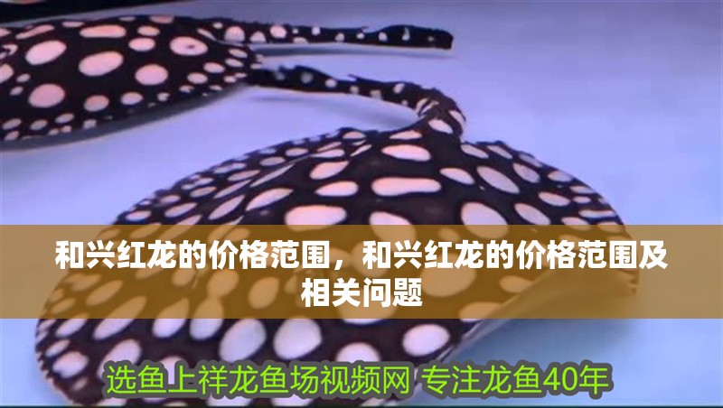 和興紅龍的價格范圍，和興紅龍的價格范圍及相關問題