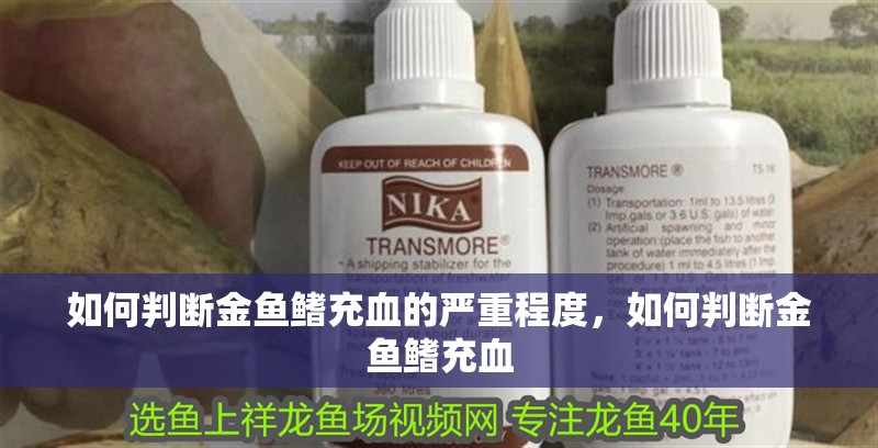 如何判斷金魚鰭充血的嚴(yán)重程度，如何判斷金魚鰭充血