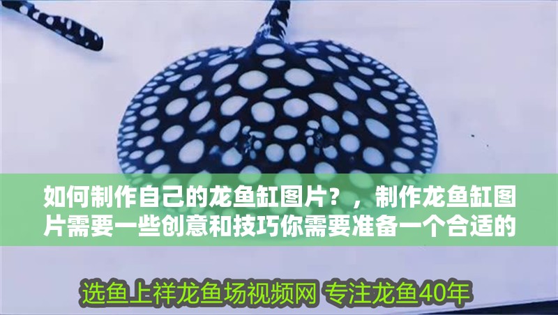 如何制作自己的龍魚(yú)缸圖片？，制作龍魚(yú)缸圖片需要一些創(chuàng)意和技巧你需要準(zhǔn)備一個(gè)合適的背景