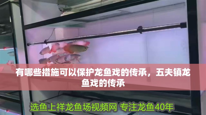 有哪些措施可以保護(hù)龍魚(yú)戲的傳承，五夫鎮(zhèn)龍魚(yú)戲的傳承