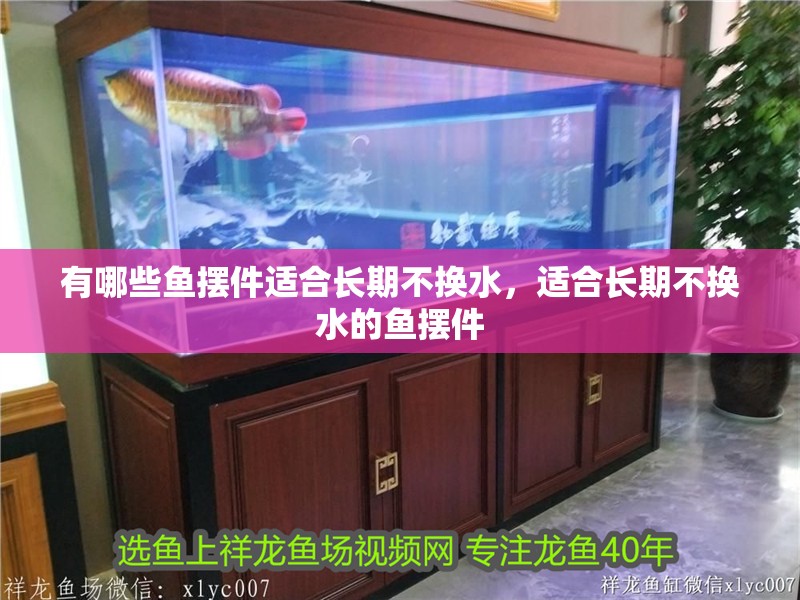 有哪些魚擺件適合長期不換水，適合長期不換水的魚擺件