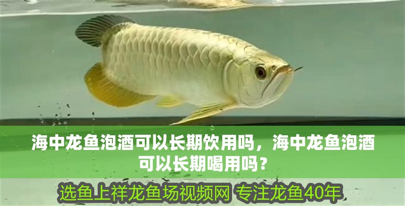 海中龍魚泡酒可以長期飲用嗎，海中龍魚泡酒可以長期喝用嗎？