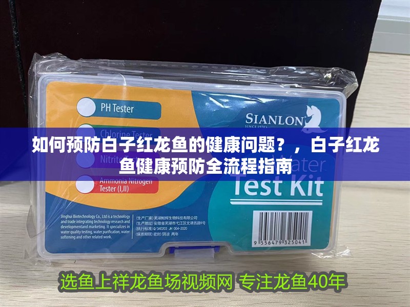 如何預防白子紅龍魚的健康問題？，白子紅龍魚健康預防全流程指南