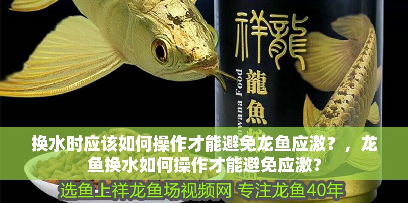 換水時應該如何操作才能避免龍魚應激？，龍魚換水如何操作才能避免應激？