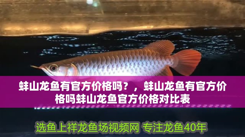 蚌山龍魚有官方價(jià)格嗎？，蚌山龍魚有官方價(jià)格嗎蚌山龍魚官方價(jià)格對比表