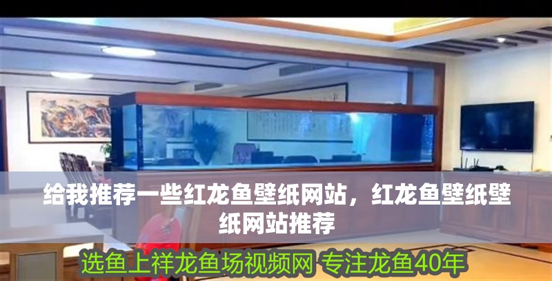 給我推薦一些紅龍魚壁紙網站，紅龍魚壁紙壁紙網站推薦