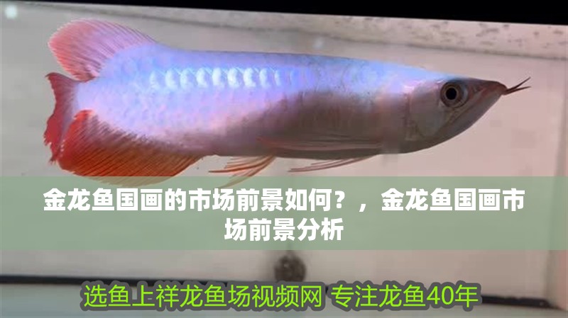 金龍魚國畫的市場前景如何？，金龍魚國畫市場前景分析