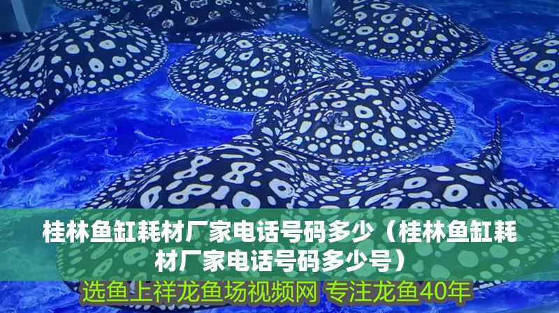 桂林魚缸耗材廠家電話號碼多少（桂林魚缸耗材廠家電話號碼多少號）