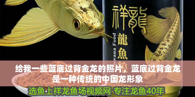 給我一些藍(lán)底過背金龍的照片，藍(lán)底過背金龍是一種傳統(tǒng)的中國龍形象