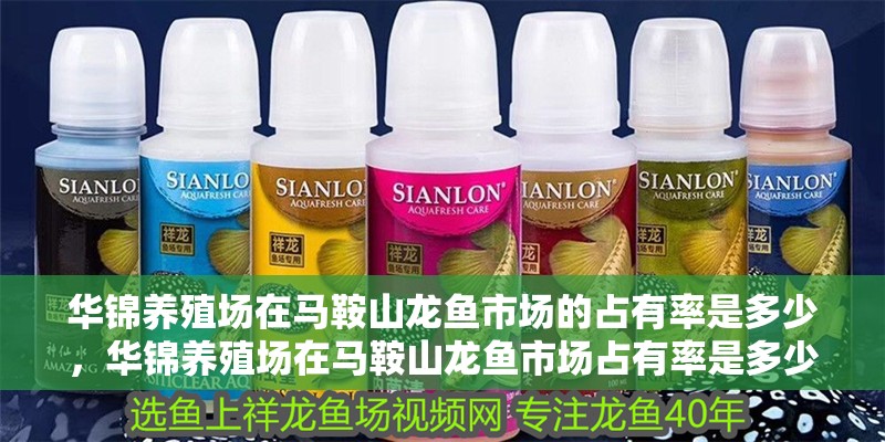 華錦養殖場在馬鞍山龍魚市場的占有率是多少，華錦養殖場在馬鞍山龍魚市場占有率是多少？