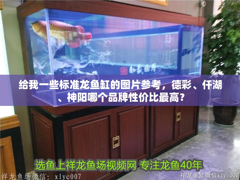 給我一些標(biāo)準(zhǔn)龍魚(yú)缸的圖片參考，德彩、仟湖、神陽(yáng)哪個(gè)品牌性價(jià)比最高？
