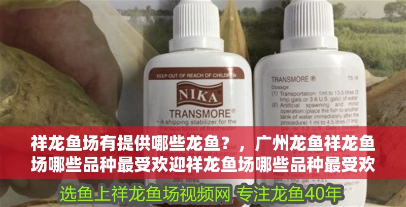 祥龍魚場有提供哪些龍魚？，廣州龍魚祥龍魚場哪些品種最受歡迎祥龍魚場哪些品種最受歡迎
