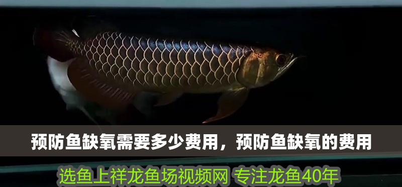 預防魚缺氧需要多少費用，預防魚缺氧的費用