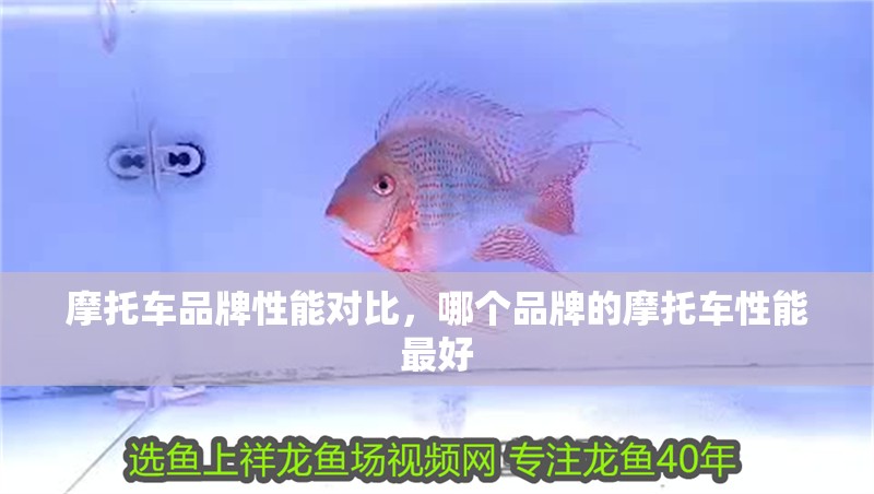 摩托車品牌性能對比，哪個品牌的摩托車性能最好