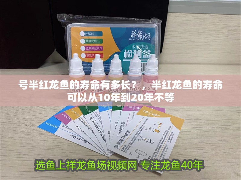 號半紅龍魚的壽命有多長？，半紅龍魚的壽命可以從10年到20年不等