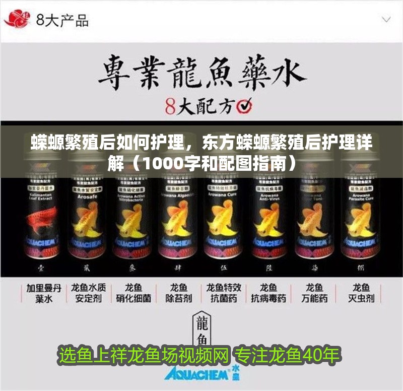 蠑螈繁殖后如何護理，東方蠑螈繁殖后護理詳解（1000字和配圖指南）