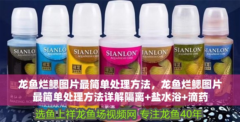 龍魚爛鰓圖片最簡單處理方法，龍魚爛鰓圖片最簡單處理方法詳解隔離+鹽水浴+滴藥