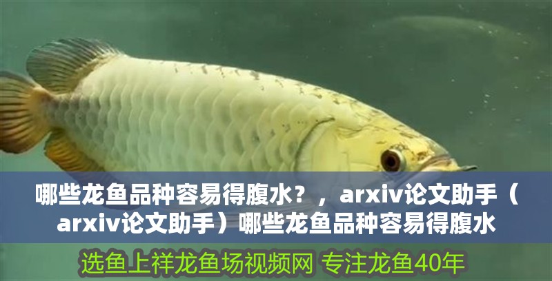 哪些龍魚品種容易得腹水？，arxiv論文助手（arxiv論文助手）哪些龍魚品種容易得腹水