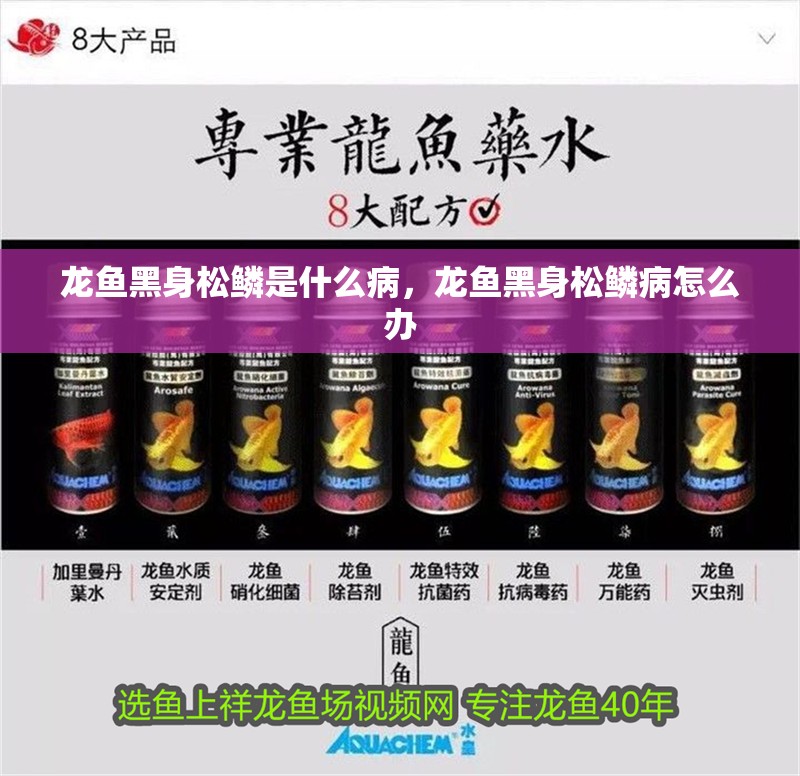 龍魚黑身松鱗是什么病，龍魚黑身松鱗病怎么辦
