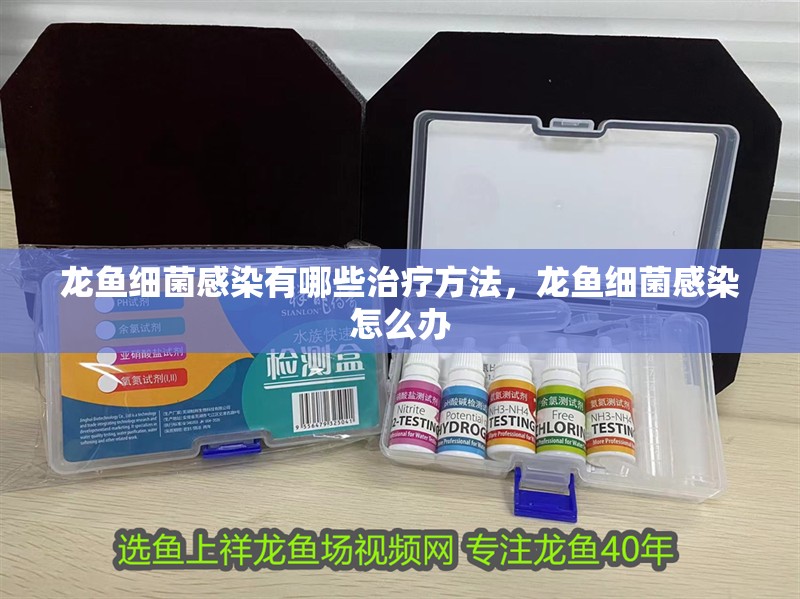 龍魚細(xì)菌感染有哪些治療方法，龍魚細(xì)菌感染怎么辦