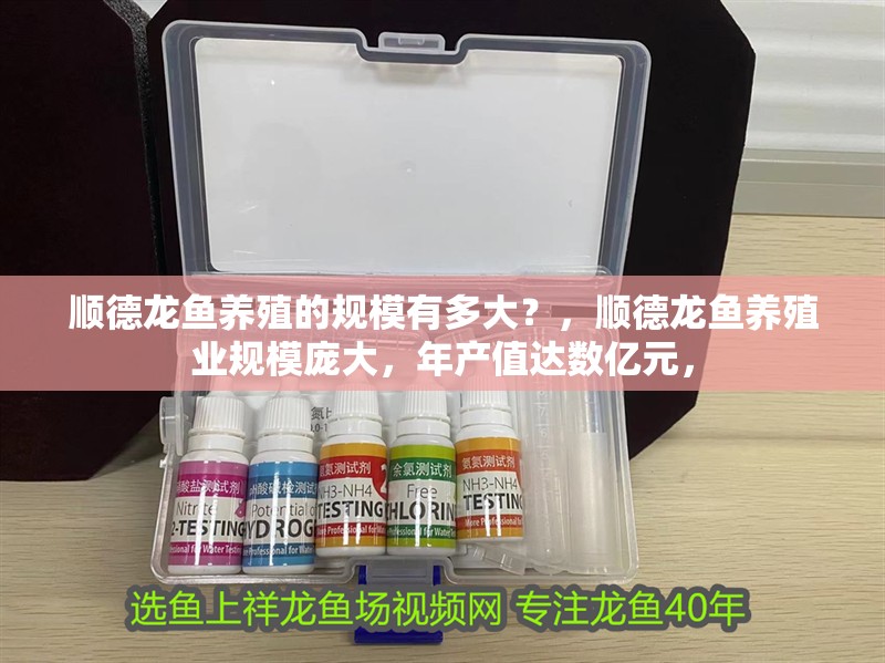 順德龍魚養殖的規模有多大？，順德龍魚養殖業規模龐大，年產值達數億元，