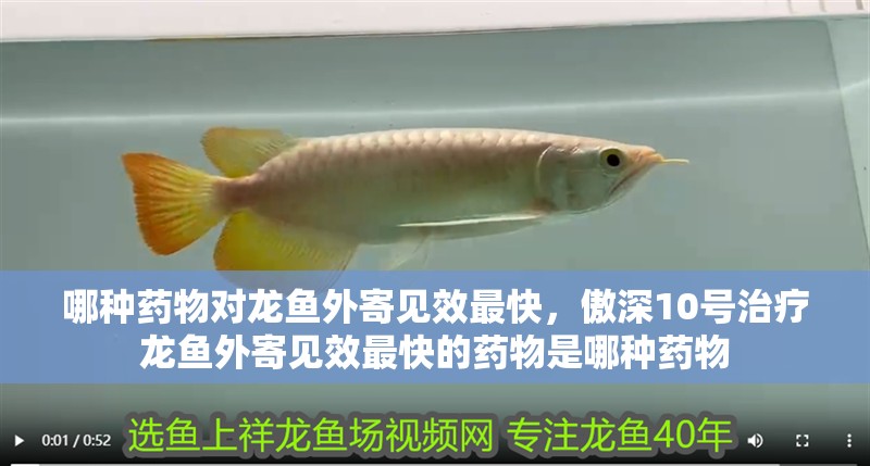 哪種藥物對龍魚外寄見效最快，傲深10號治療龍魚外寄見效最快的藥物是哪種藥物