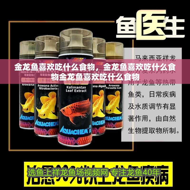 金龍魚喜歡吃什么食物，金龍魚喜歡吃什么食物金龍魚喜歡吃什么食物