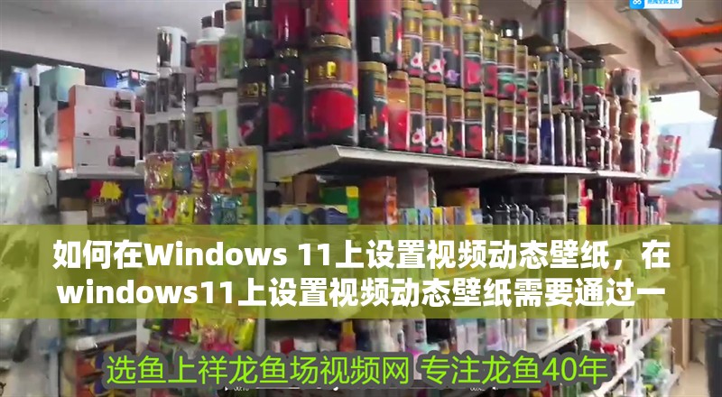 如何在Windows 11上設置視頻動態壁紙，在windows11上設置視頻動態壁紙需要通過一些步驟來實現