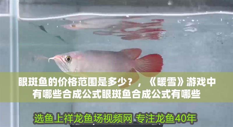 眼斑魚的價(jià)格范圍是多少？，《暖雪》游戲中有哪些合成公式眼斑魚合成公式有哪些