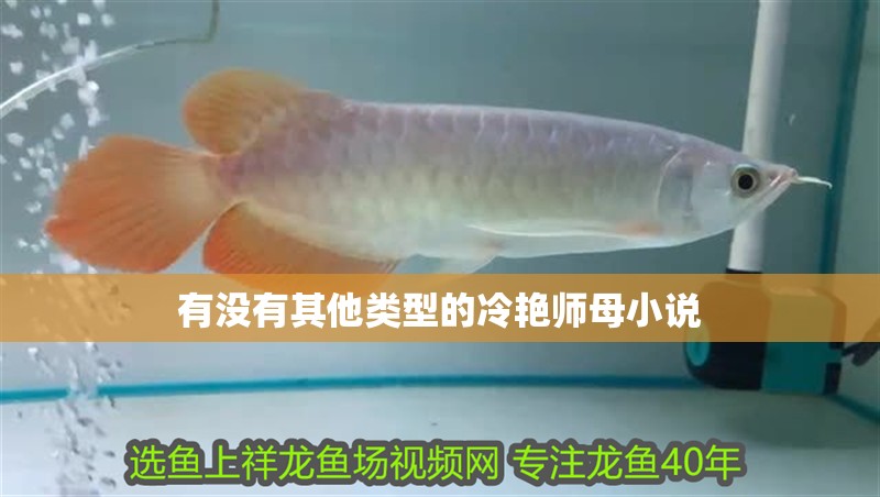 有沒有其他類型的冷艷師母小說