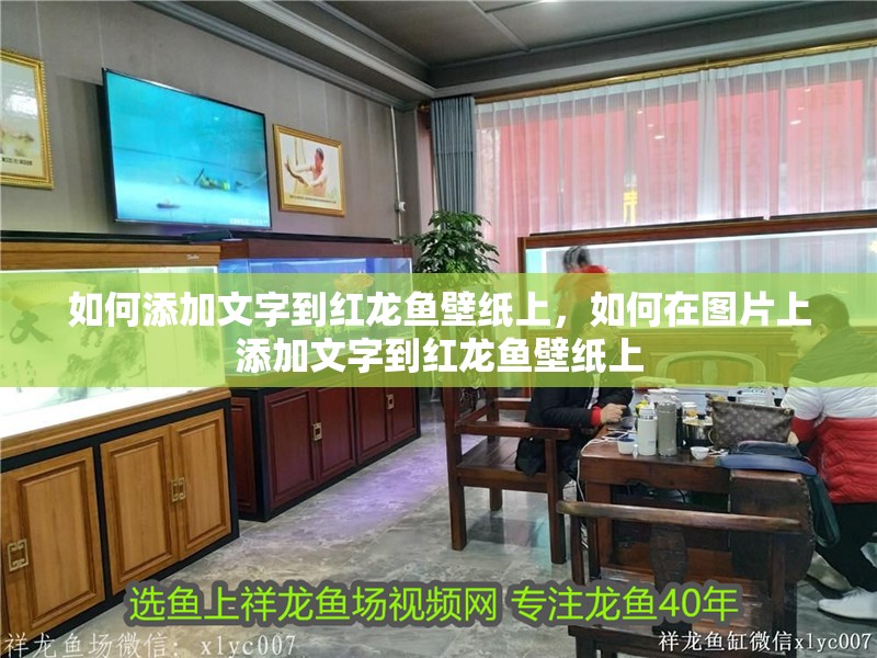 如何添加文字到紅龍魚壁紙上，如何在圖片上添加文字到紅龍魚壁紙上