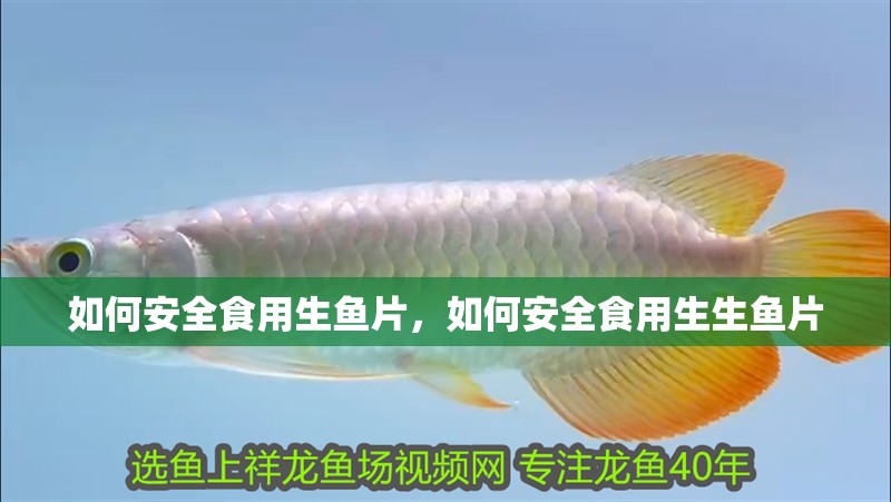 如何安全食用生魚片，如何安全食用生生魚片