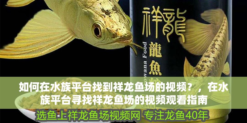 如何在水族平臺(tái)找到祥龍魚場的視頻？，在水族平臺(tái)尋找祥龍魚場的視頻觀看指南