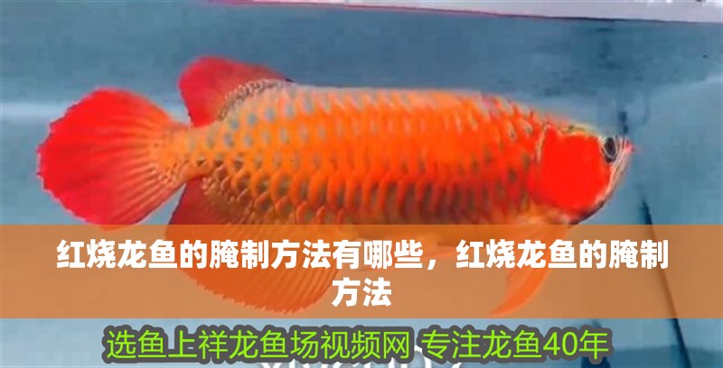 紅燒龍魚的腌制方法有哪些，紅燒龍魚的腌制方法