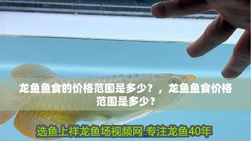 龍魚魚食的價格范圍是多少？，龍魚魚食價格范圍是多少？