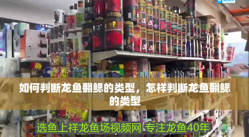 如何判斷龍魚翻鰓的類型，怎樣判斷龍魚翻鰓的類型