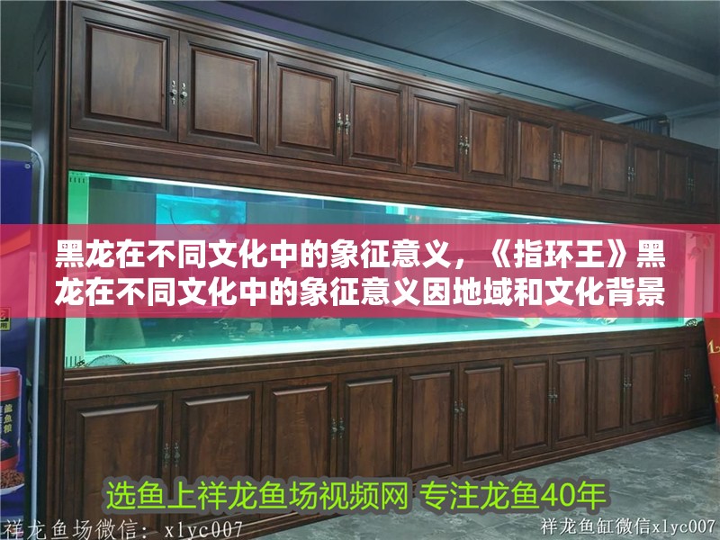 黑龍在不同文化中的象征意義，《指環(huán)王》黑龍在不同文化中的象征意義因地域和文化背景的不同