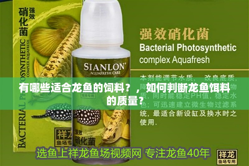 有哪些適合龍魚的飼料？，如何判斷龍魚餌料的質量？