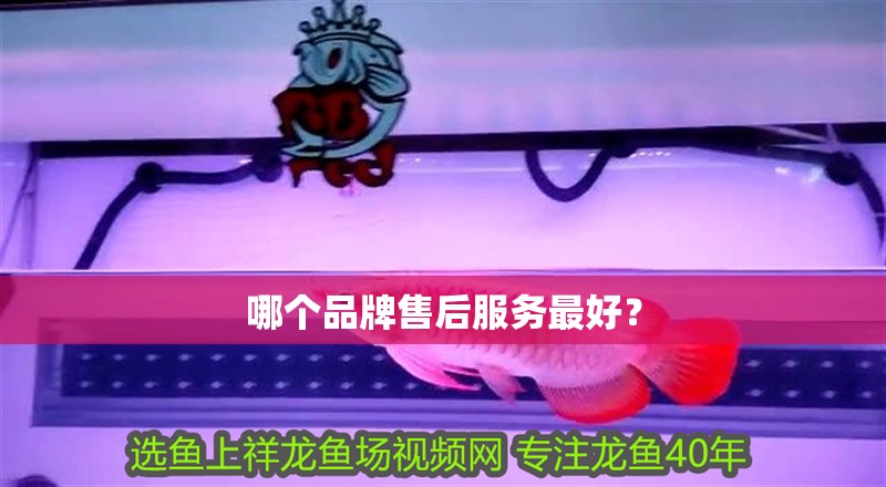 哪個品牌售后服務最好？