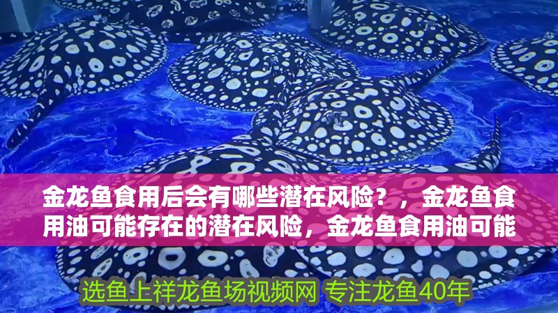 金龍魚食用后會有哪些潛在風險？，金龍魚食用油可能存在的潛在風險，金龍魚食用油可能存在風險