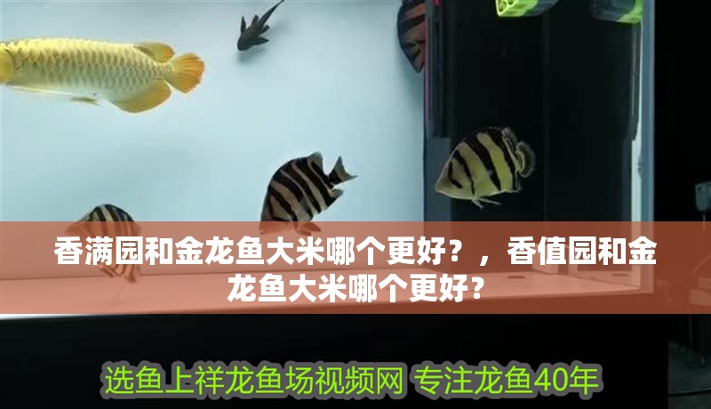 香滿園和金龍魚大米哪個(gè)更好？，香值園和金龍魚大米哪個(gè)更好？