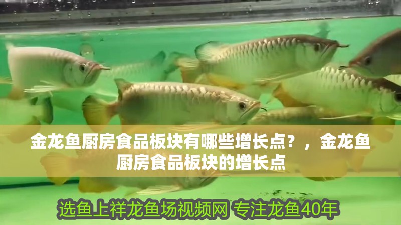 金龍魚廚房食品板塊有哪些增長點？，金龍魚廚房食品板塊的增長點